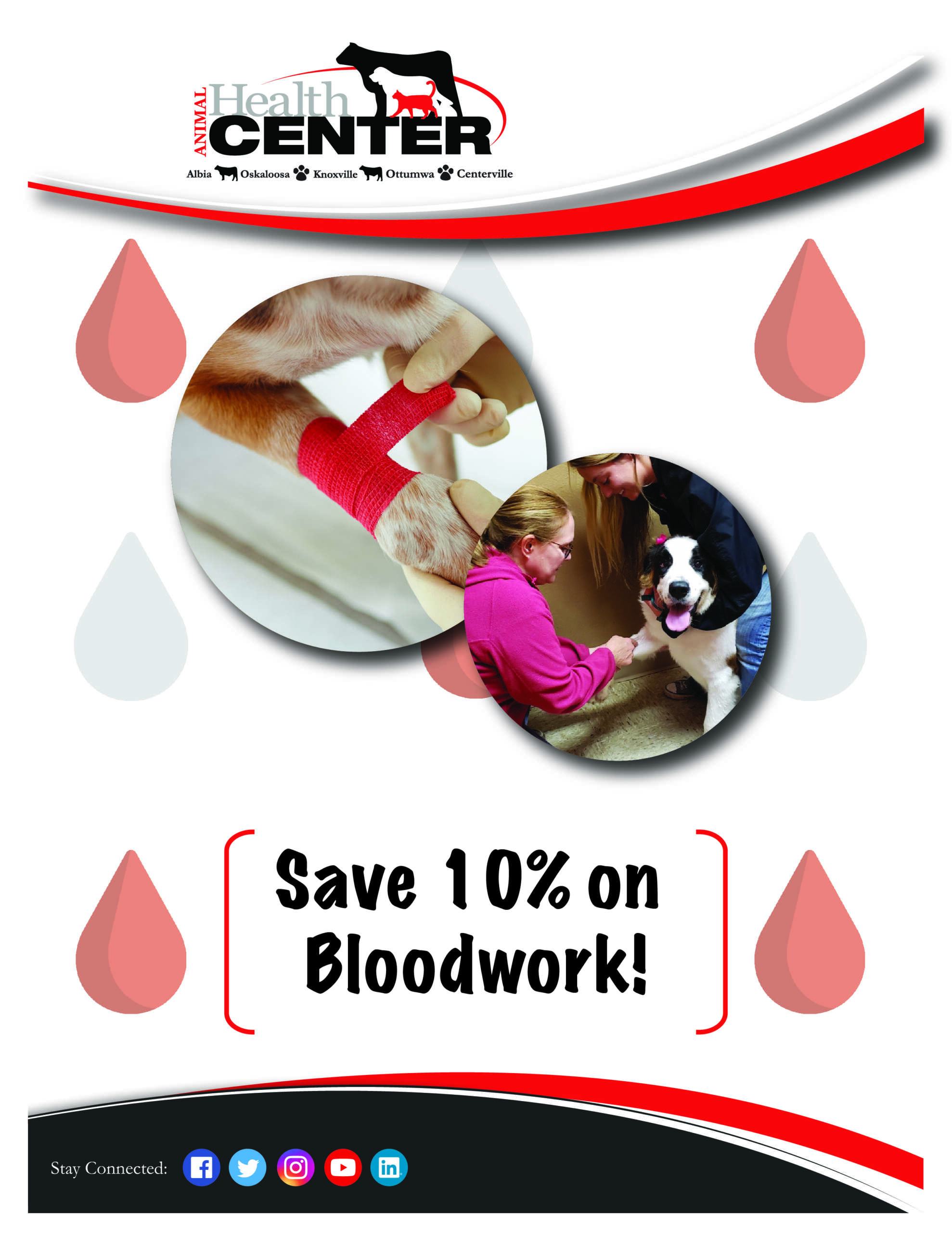 December 2021 In-Clinic Flyer