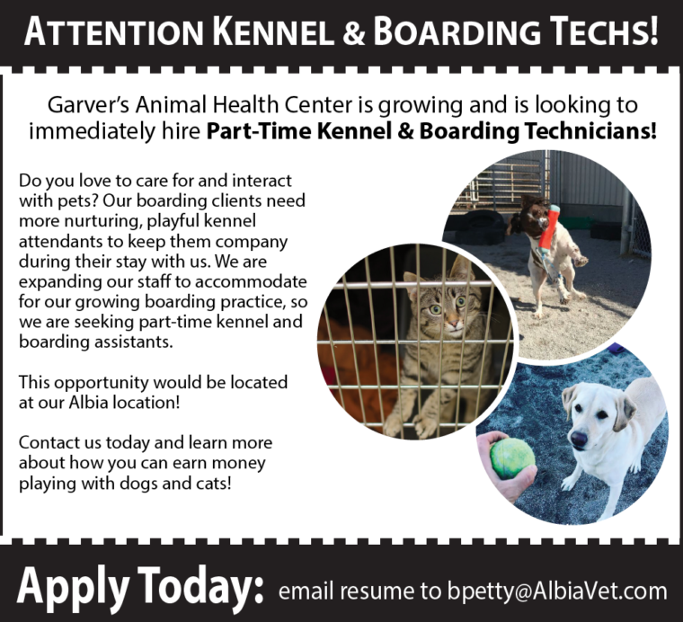 Kennel Attendant Animal Health Center of Iowa