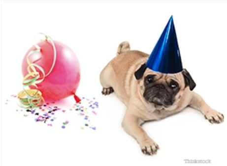 New Year’s Resolutions For You & Your Pet