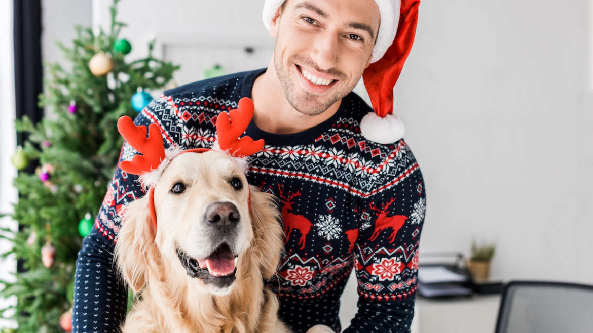 Celebrate the Holidays with Your Pet