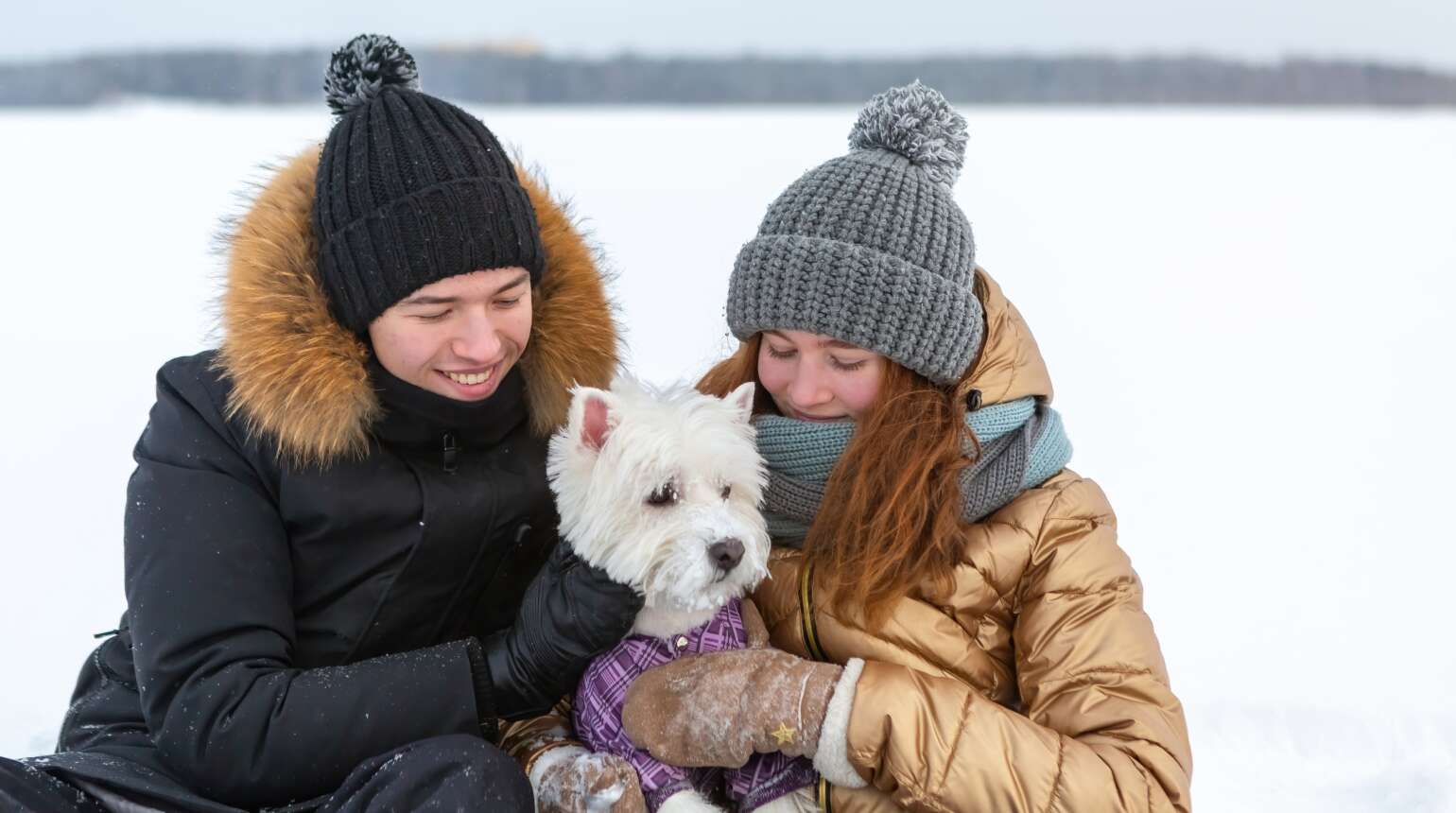 Winter Safety Tips: Keeping Your Furry Friends Happy and Healthy